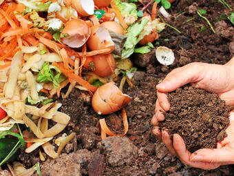 LP_Biodéchets LP_Biodéchets