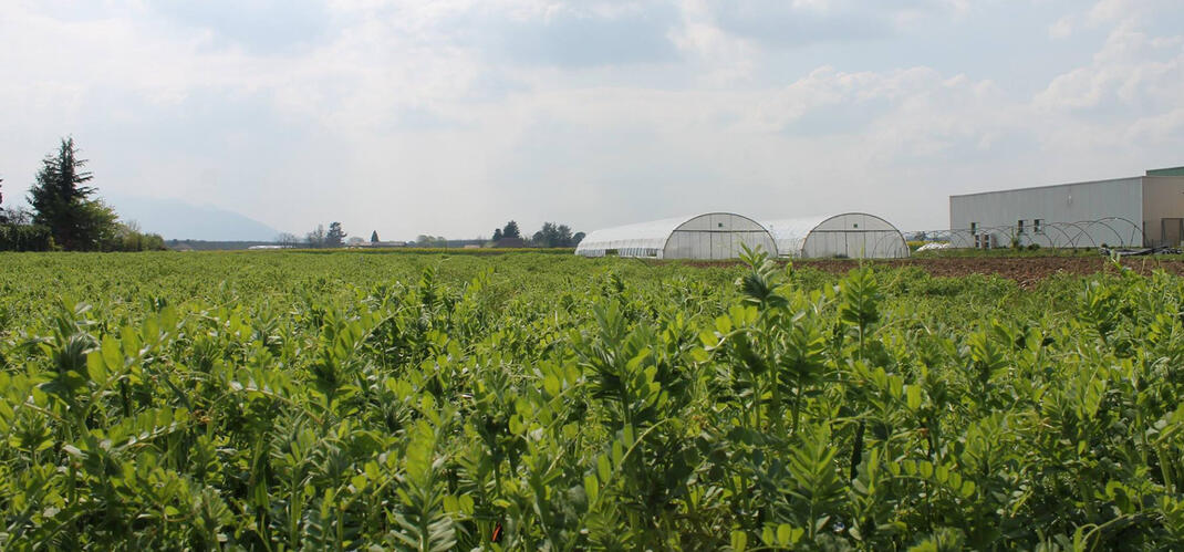 Des terres et des serres pour cultiver son projet Des terres et des serres pour cultiver son projet