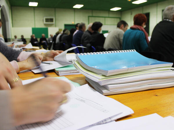 Les instances politiques Les instances politiques